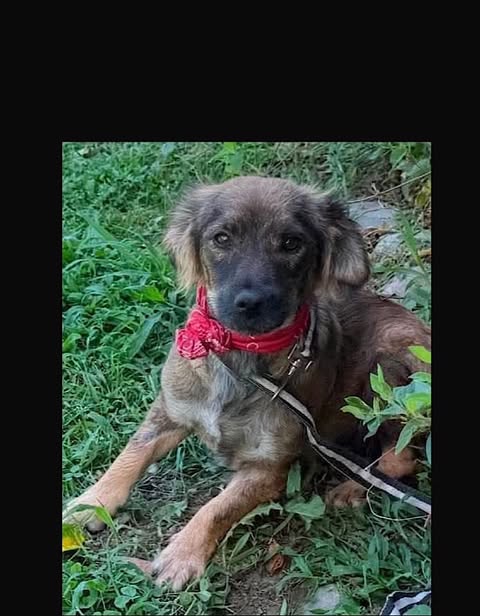 Aspen:Reserved