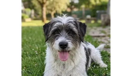 Billy