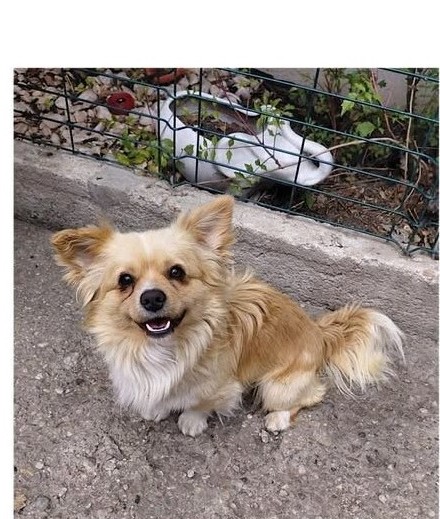 Bruno
