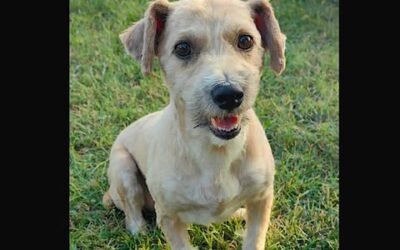 Cleo: Reserved