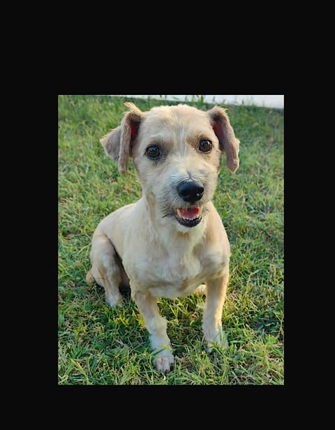 Cleo: Reserved