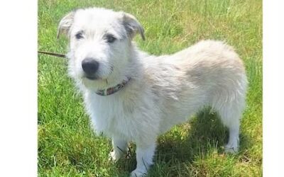 Flynn:Reserved