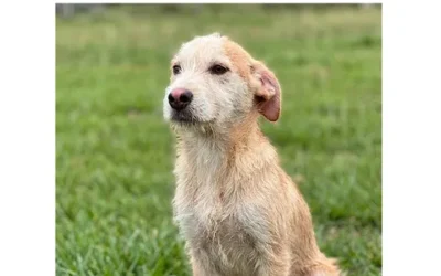 Jack:Reserved