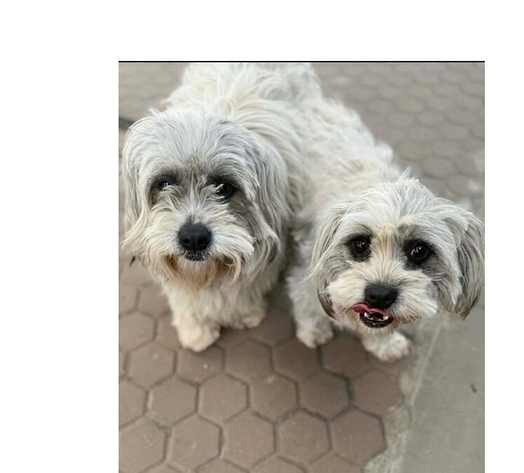 Millie and Max