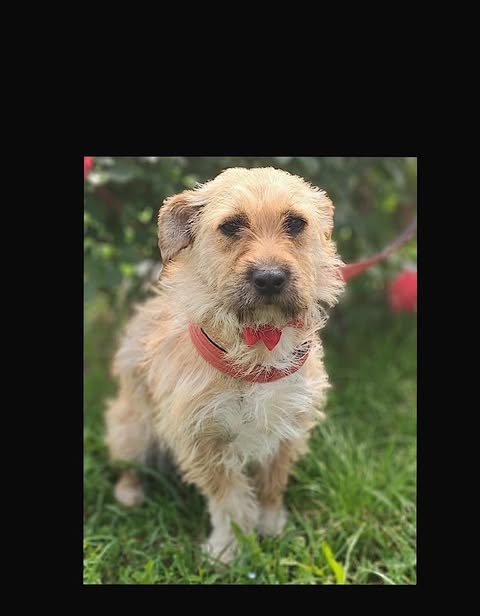 Nellie:Reserved