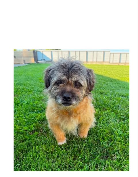 Olive: Reserved