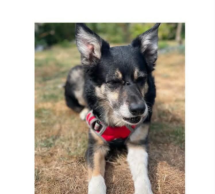 Rosie
