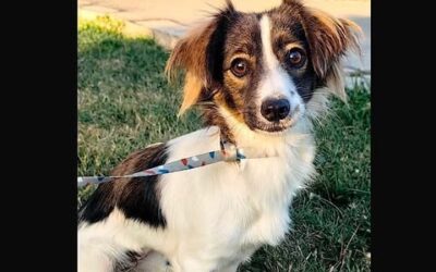 Sophie: Reserved