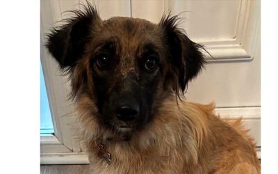 Cleo: Reserved