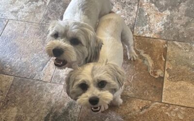Millie & Max