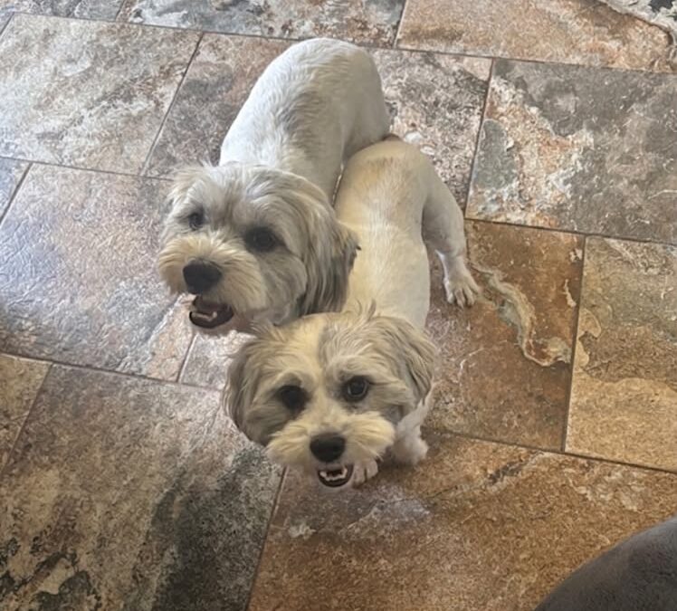 Millie & Max